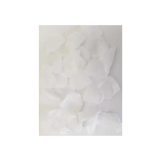100 Petals White for romantic decor and intimate settings. Versatile and easy to use, perfect for scattering in any space.