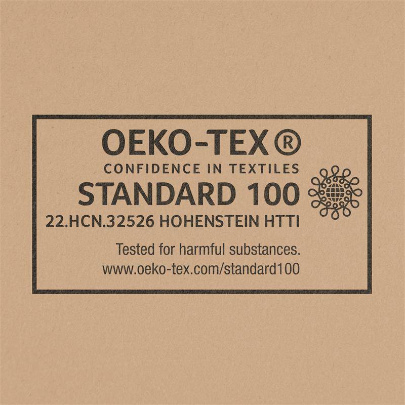 Flora Menstrual Panty Normal