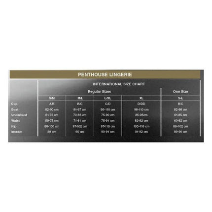 Penthouse Lingerie international size chart for regular sizes and one size