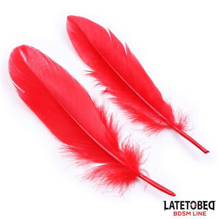 3 Pieces Bondage Set Cuffs, Eye Mask and Feathers featuring bold red feathers for sensory play.