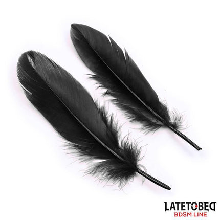 Two black feathers from the 3 Pieces Set Mask, Handcuffs and Feathers Black by Latetobed.