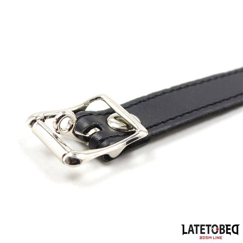 Silicone Ball Gag Pink