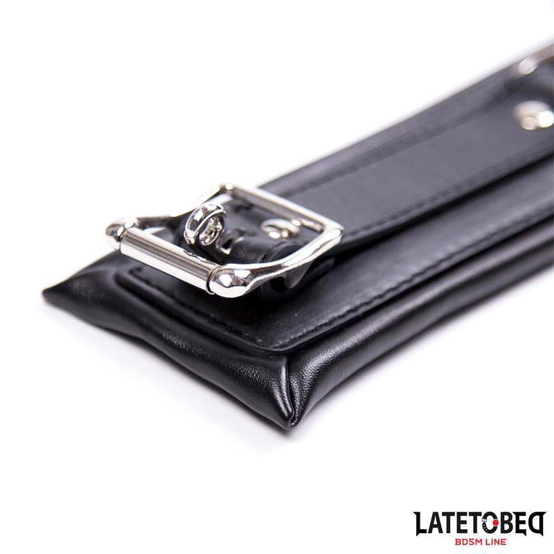 Padded Collar with Leash