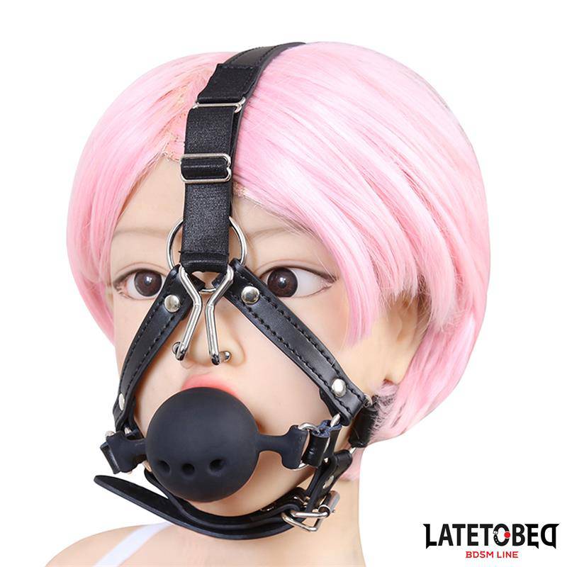 Head Harness with Ball Gag and Nose Hook