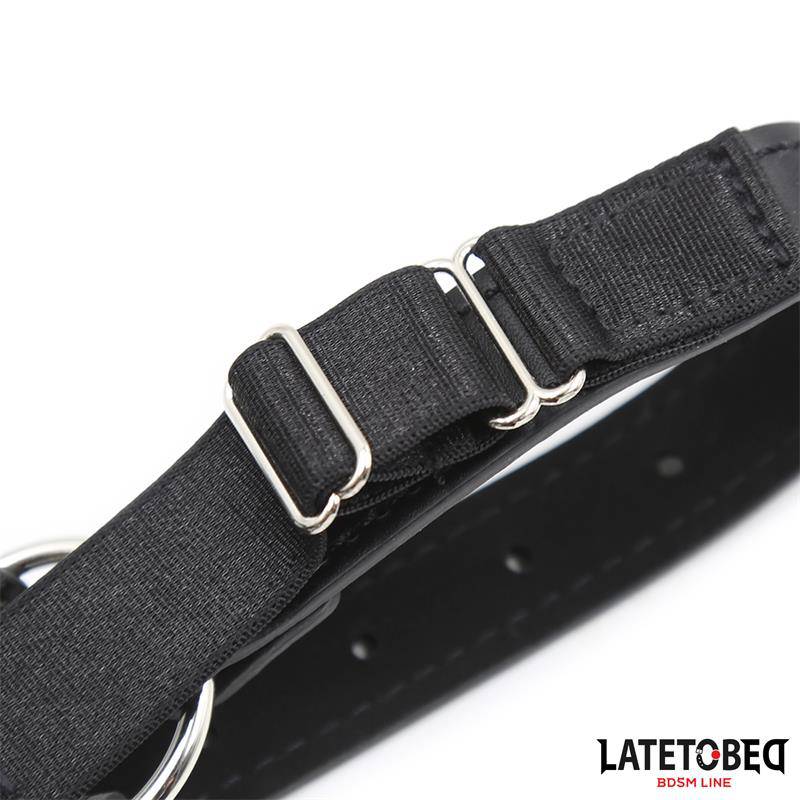 Head Harness with Ball Gag and Nose Hook