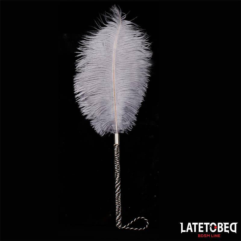Ostrich Feather 44 cm