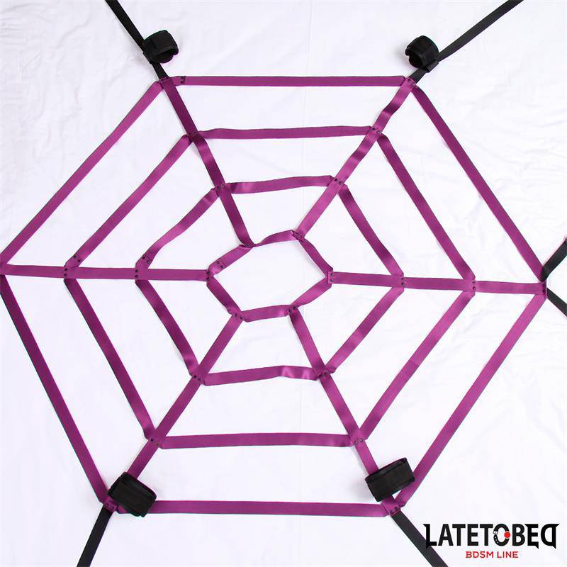 Spider Web Bed Bondage