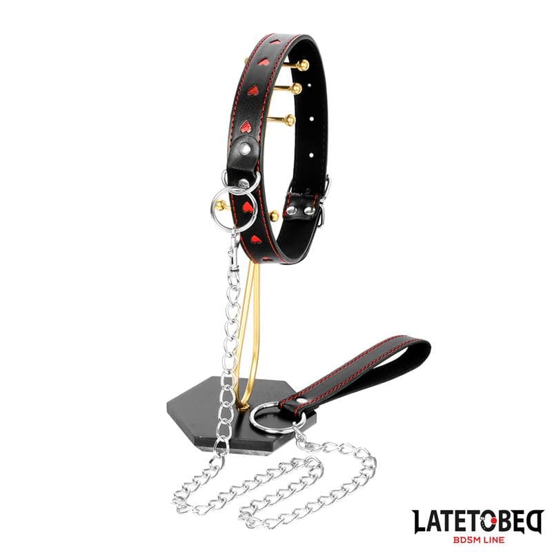 collar with Leash 52 cm