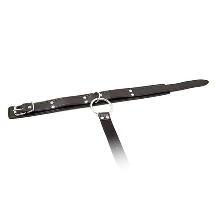 Collar with Restraints Adjustable Black showing buckle and ring attachment for secure fit in BDSM play.