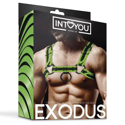 Glow in the Dark Bondage Chest Harness packaged by Intoyou, featuring luminescent design for bold intimate experiences.