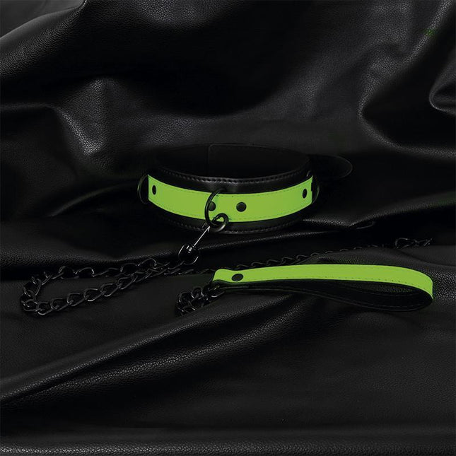 Glow in the Dark Collar with Leash on black leather surface