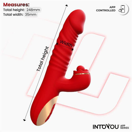 Ascen Thrusting and Waving Vibe with App Magnetic USB, red Intoyou® vibrator with dimensions displayed, part of Intoyou App Series.