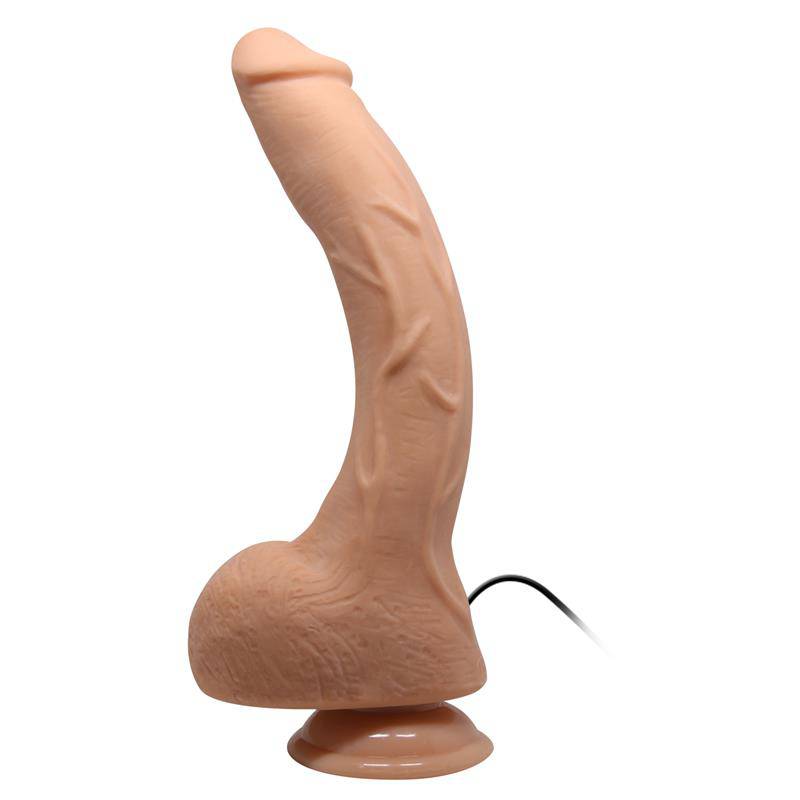 Baile Dildo with Suction Cup and Vibration - secretsextoys.store