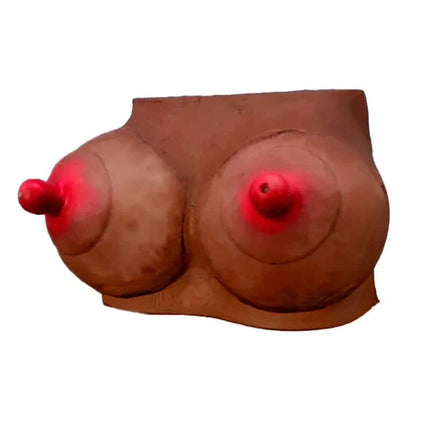 breast-shaped piggy bank by DIVERTY SEX, fun savings companion for parties and events, large capacity erotic-themed coin holder