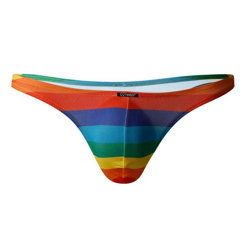 C4M03 Classic Thong Rainbow - secretsextoys.store