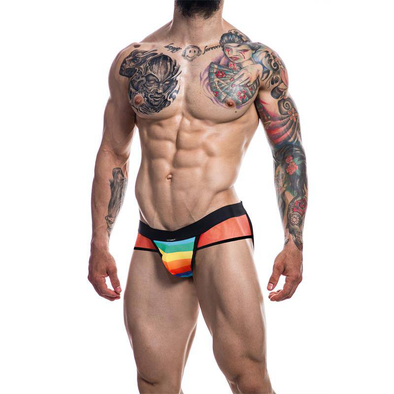 C4M13 Mixed Jockstrap Rainbow - secretsextoys.store