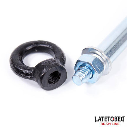 Ceiling Swing mounting set with black ring and screw, part of Latetobed BDSM Line for secure installation and versatile play.