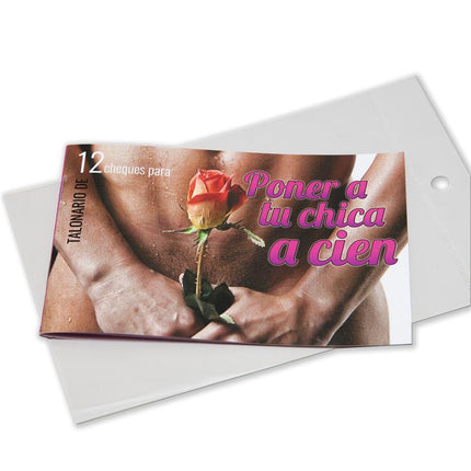 Checkbook Put Your Girl A Hundred 12 Coupons with rose and playful cover for romantic gift ideas.