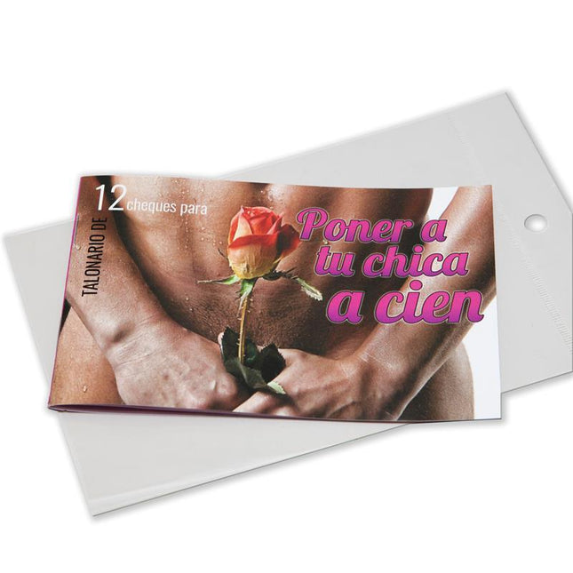 Checkbook Put Your Girl A Hundred 12 Coupons with rose and playful cover for romantic gift ideas.