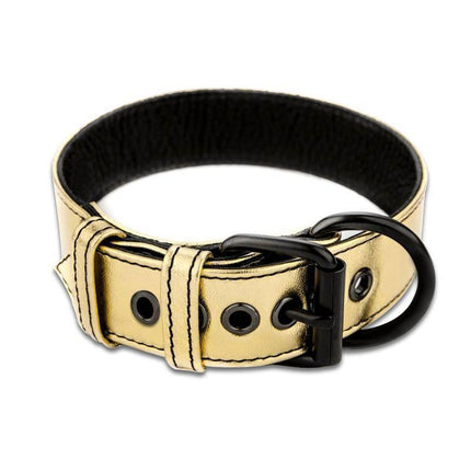 Collar with Leash Bondage Gold with adjustable buckle and faux leather finish
