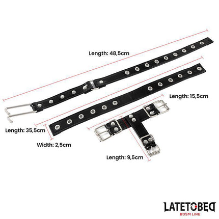 Collar with Nose Hook from Latetobed BDSM Line with precise dimensions for secure restraint and heightened control.