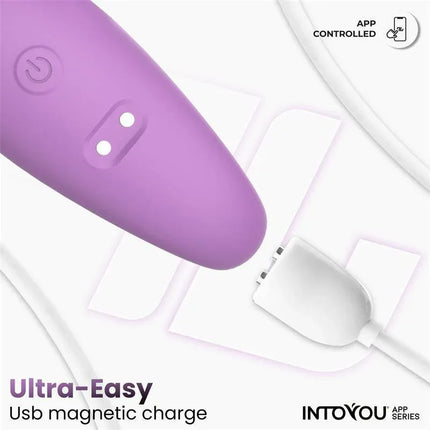 Couple Toy with App Flexible Silicone Lavender featuring USB magnetic charge and app control for versatile pleasure.