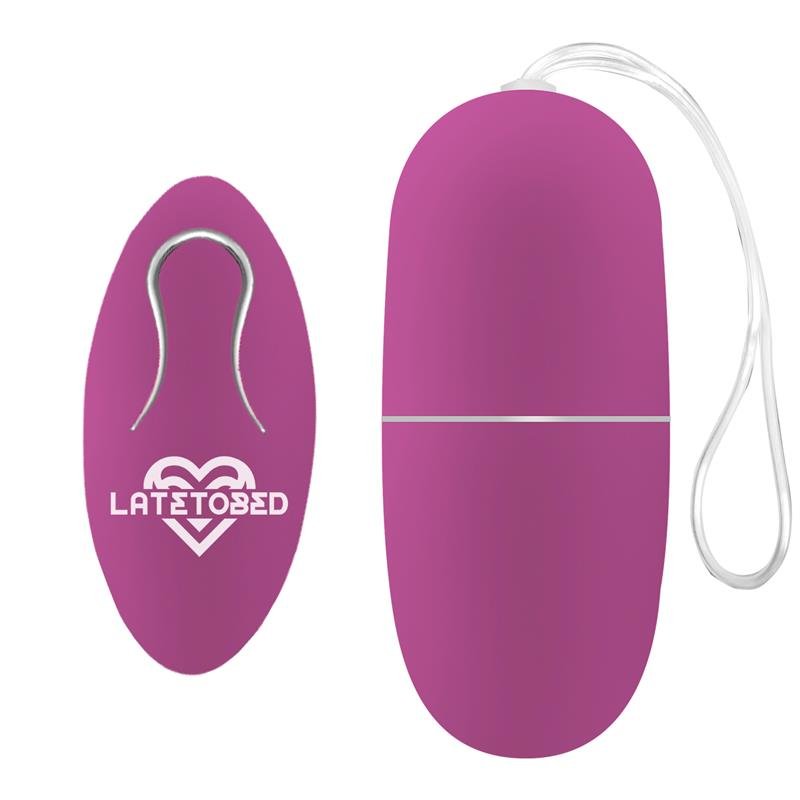 Ecopurple Vibrating Egg with Remote Control - secretsextoys.store