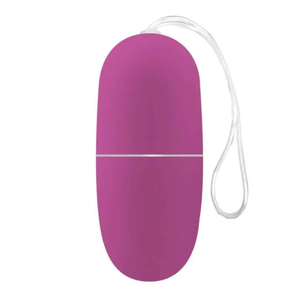 Ecopurple Vibrating Egg with Remote Control, sleek design, powerful 10 vibration functions for solo or couple use, waterproof.