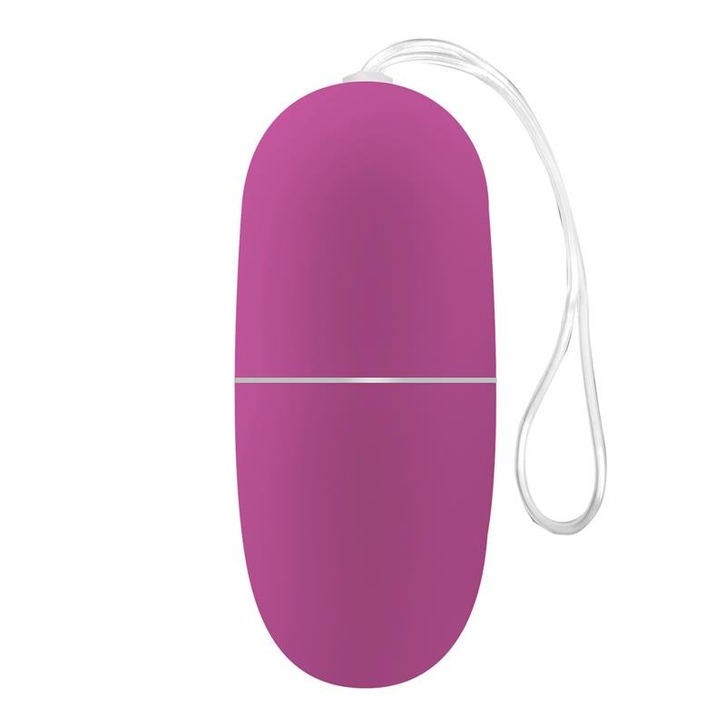 Ecopurple Vibrating Egg with Remote Control - secretsextoys.store