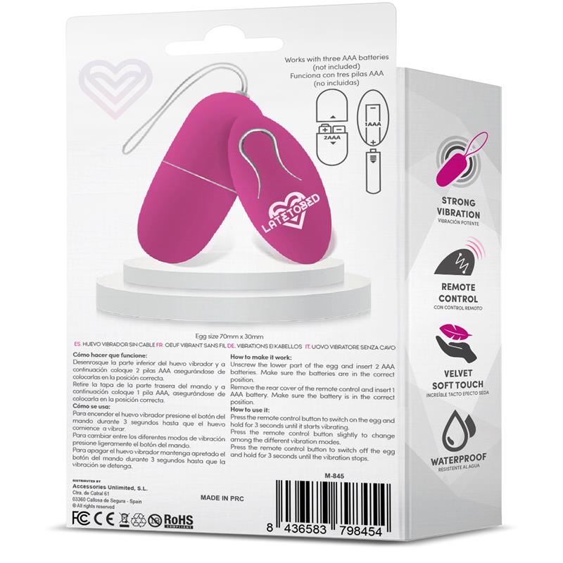 Ecopurple Vibrating Egg with Remote Control - secretsextoys.store