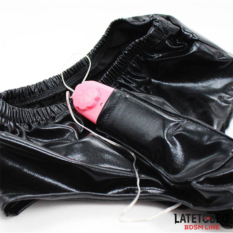 Elastic Briefs with Vibrating Dildo One Size - secretsextoys.store