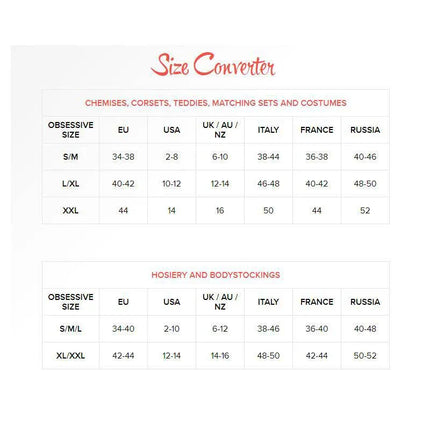 Size converter chart for chemises, corsets, teddies, costumes, hosiery, and bodystockings. EU, USA, UK, Italy, France, Russia sizes.