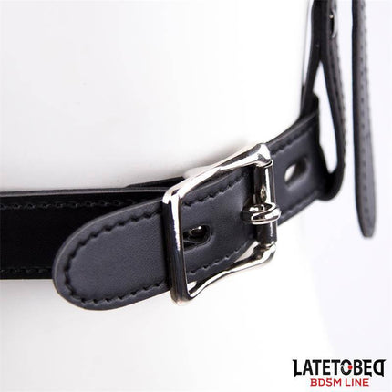 Close-up of Face Harness Strap Toilet Lid Gag Adjustable buckle from Latetobed BDSM line.