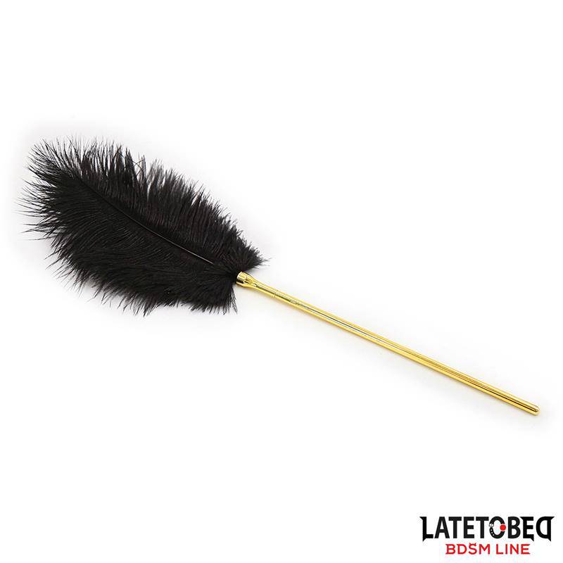 Feather Tickler 41 cm - secretsextoys.store