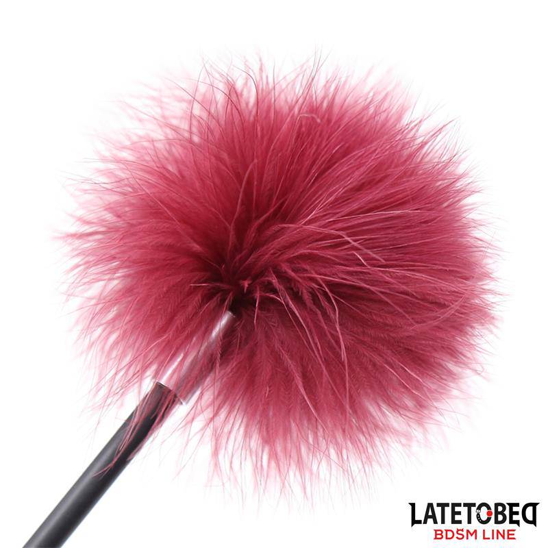 Feather Tickler and Rose Shape Paddle - secretsextoys.store