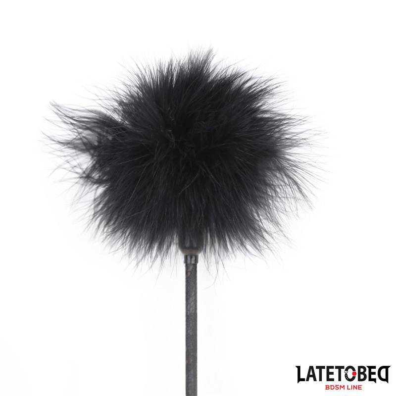 Feather Tickler & Paddle - Intimate Play - secretsextoys.store