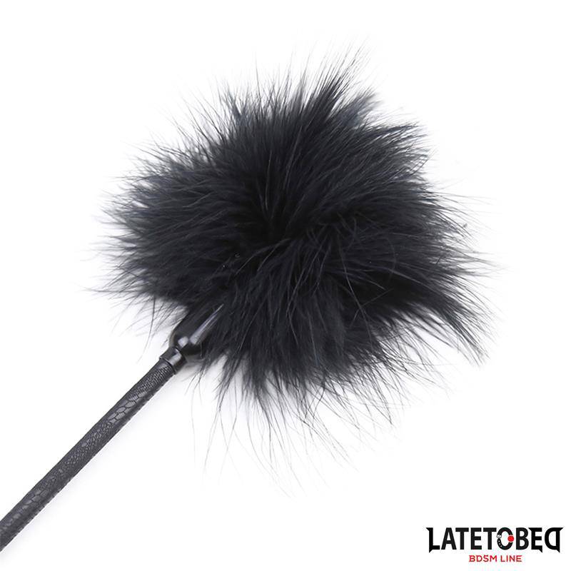 Feather Tickler & Paddle - Intimate Play - secretsextoys.store