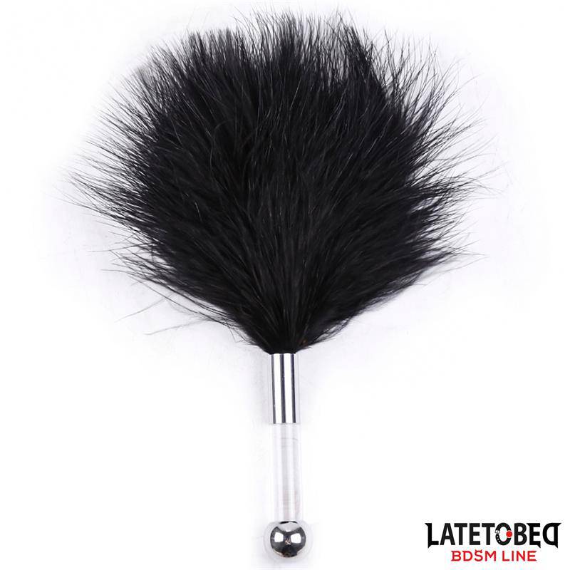 Feather Tickler with Acrylic Metal Handle - secretsextoys.store