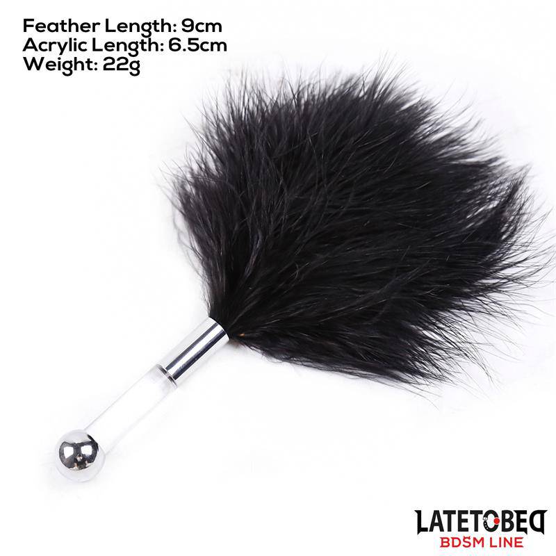 Feather Tickler with Acrylic Metal Handle - secretsextoys.store