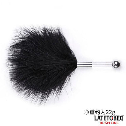 Feather Tickler with Acrylic Metal Handle from Latetobed BDSM Line featuring a black feather and sleek handle for sensory play.