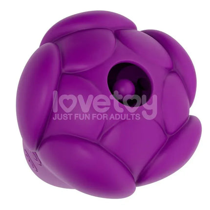 Flicker Stimulator purple flower-inspired vibrator with silicone exterior, 5 vibration patterns, and USB rechargeable design.