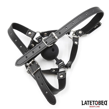 Head Harness with Ball Gag and Nose Hook - BDSM restraint kit for immersive play