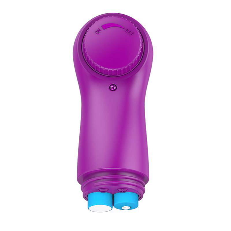 Laary Multi - Speed Vibrating Egg with Remote Control Purple - secretsextoys.store