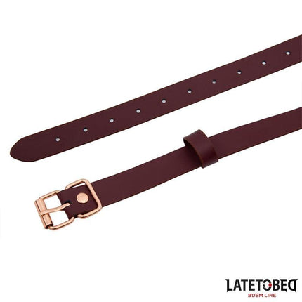 LATETOBED Leather O Ring Gag with brown strap and gold buckle, perfect for BDSM enthusiasts. Durable and luxurious design.