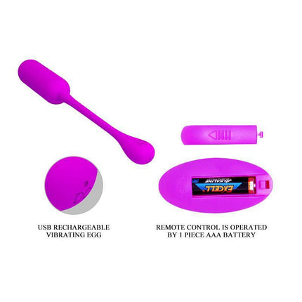 Lechies Vibrating Egg with Remote Control USB and battery compartment showing USB and AAA battery compatibility