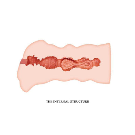 Leila Vagina Masturbator Fresh Surface internal structure illustration