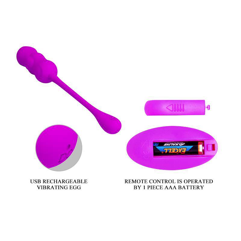 Leshy Vibrating Egg with Remote Control USB - secretsextoys.store