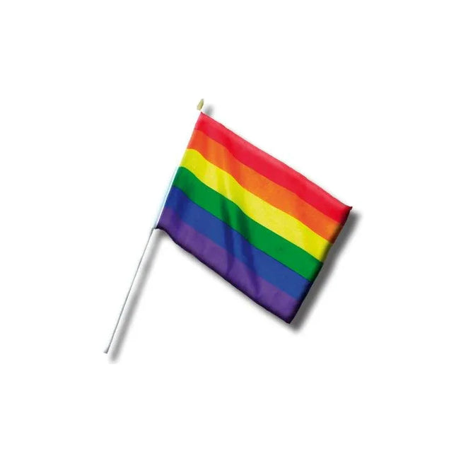 Vibrant LGBT+ Pride Pennant Small 30 cm with rainbow colors, ideal for desks or walls, perfect for celebrating Pride.