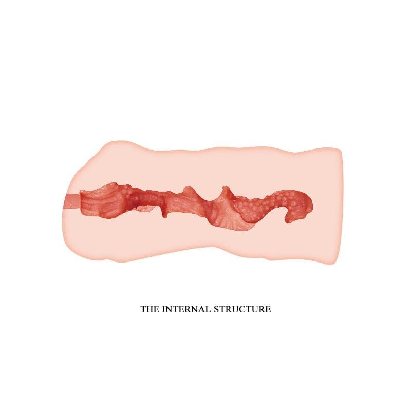 Linda Vagina Masturbator Fresh Surface Flesh - secretsextoys.store
