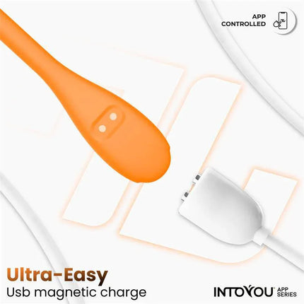 Logan Vibrating Egg with App Unibody Silicone Orange featuring USB magnetic charging and app control